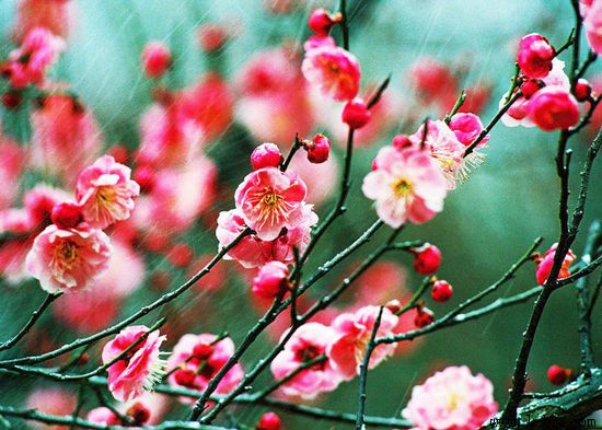 太仓旅游局标志