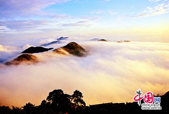 ̫�����ν����Ÿ�