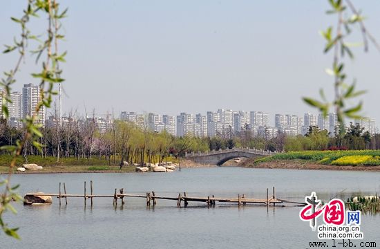 ̫�����ν����Ÿ�